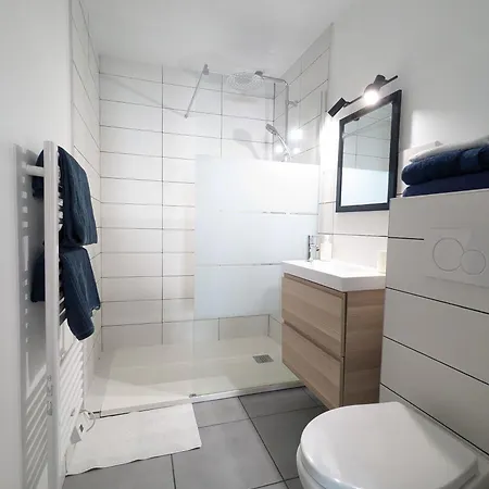 Bel T1bis En Centre De 公寓 绍莱