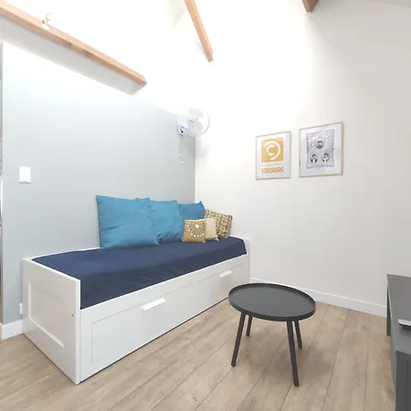 Bel T1bis En Centre De 绍莱