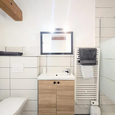 Bel T1bis En Centre De 公寓 绍莱