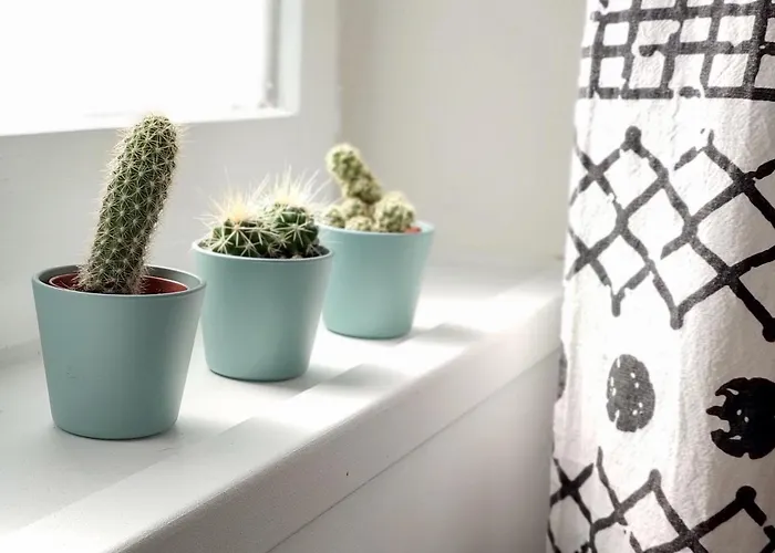 Bel T1bis En Centre De * Cholet