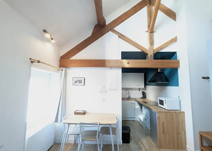 Bel T1bis En Centre De Apartment *